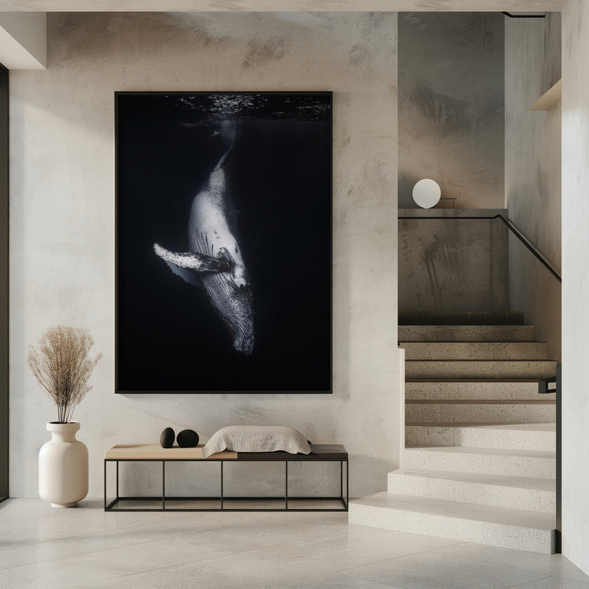 Wall Art - Baleine noire