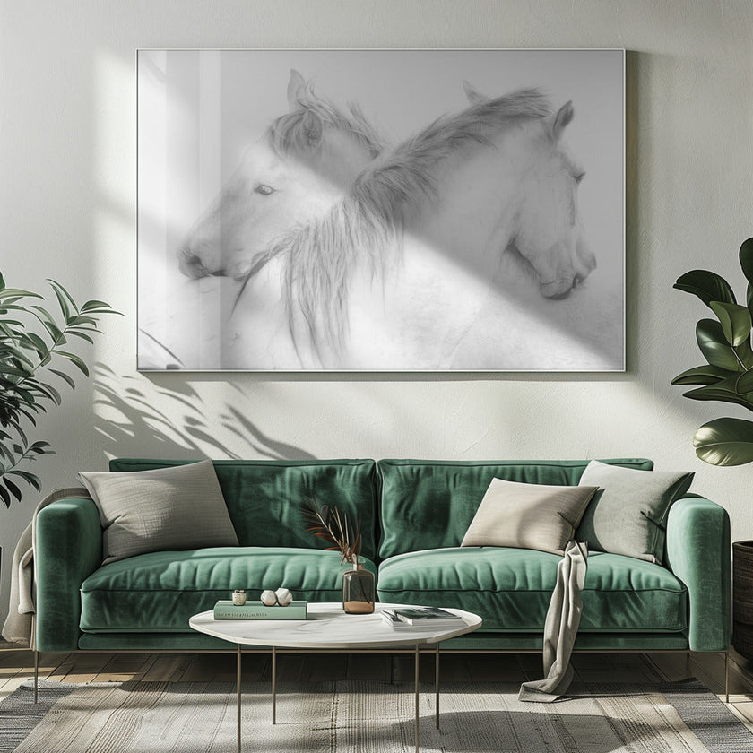 Horses