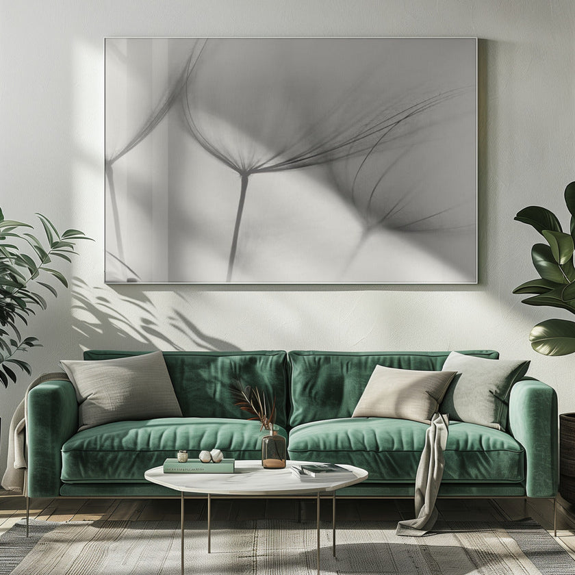 Wall art Tragopogon