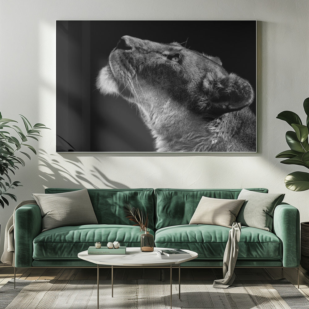 En levant les yeux
