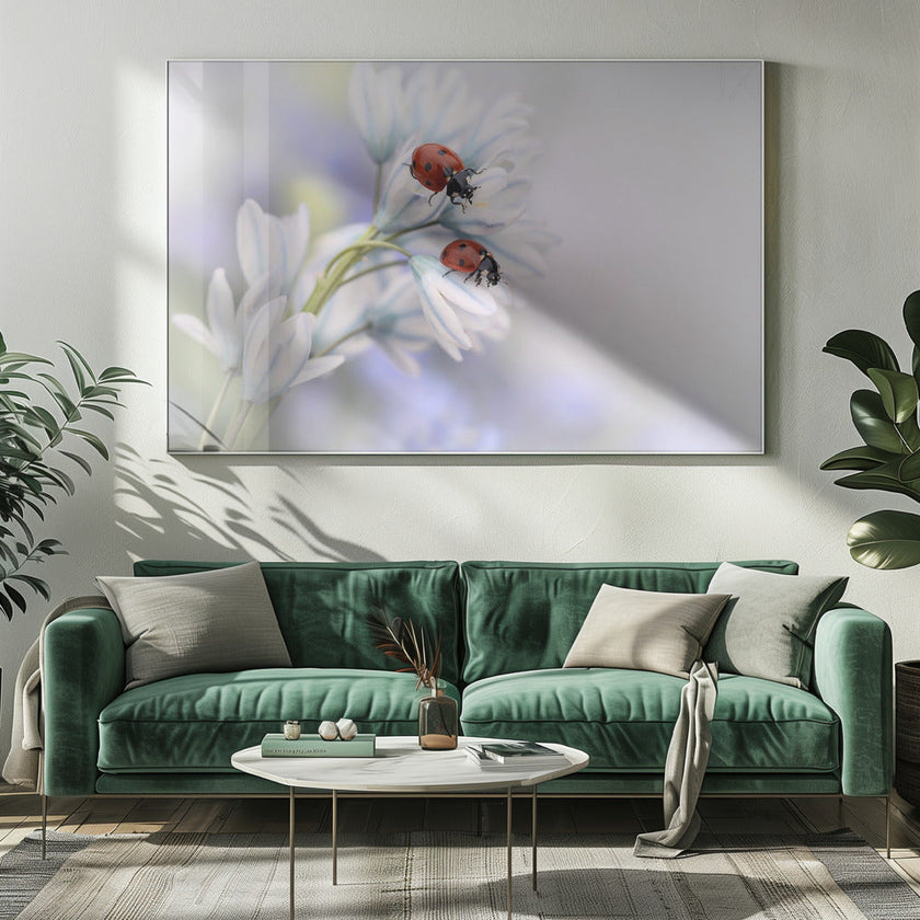 Wall art Ladybirds