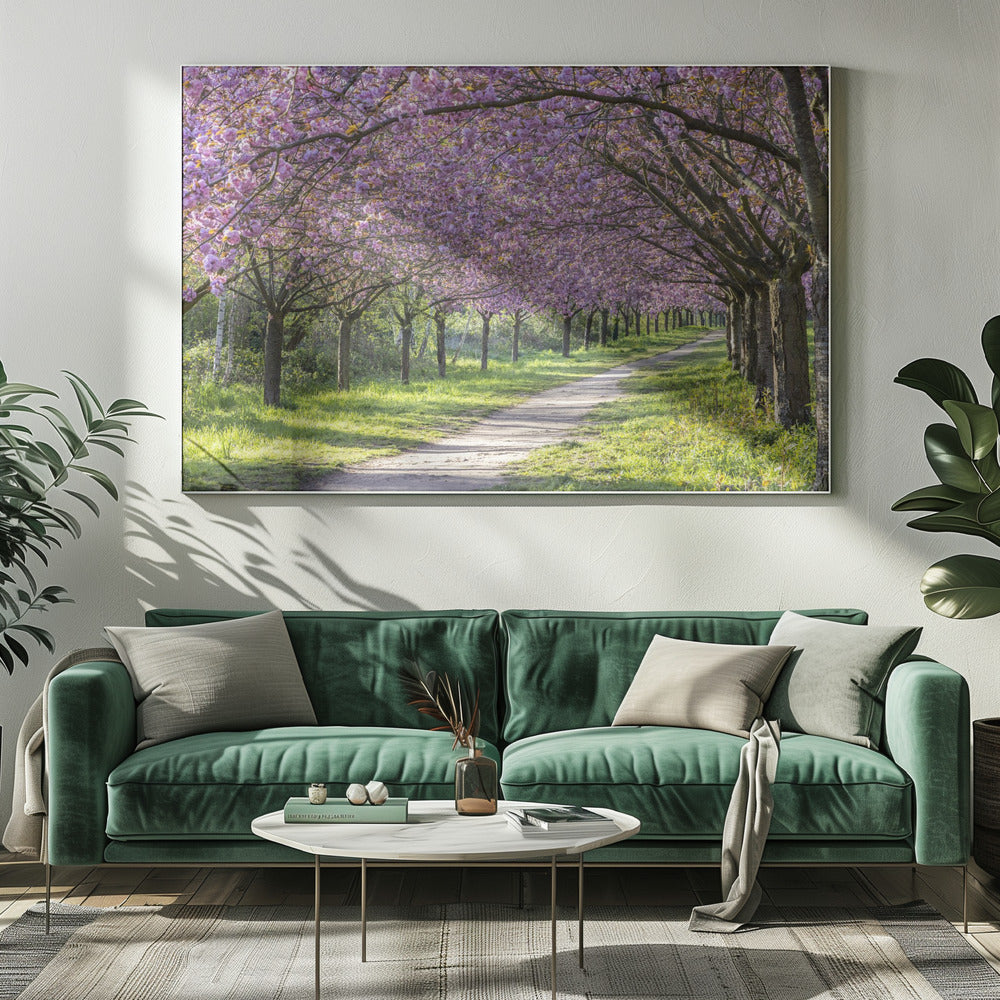 Art mural : allée idyllique de cerisiers en fleurs