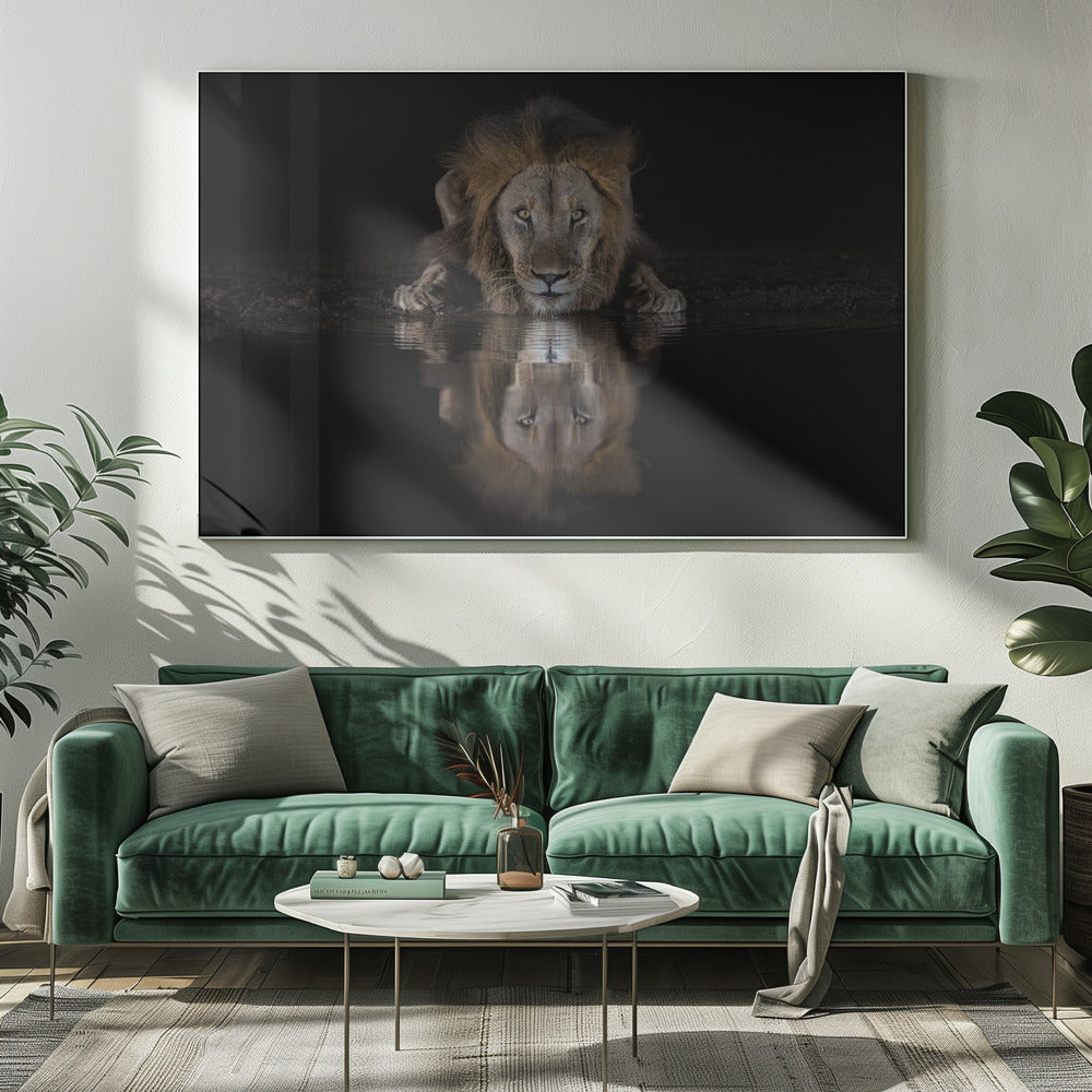 Art mural : Un lion dans la nuit