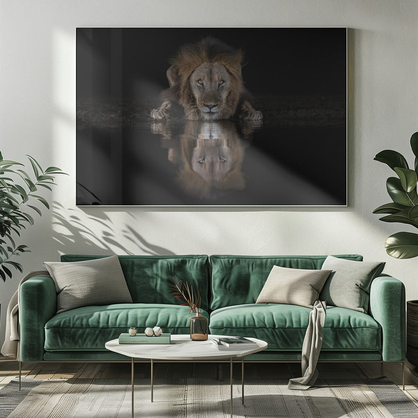 Art mural : Un lion dans la nuit