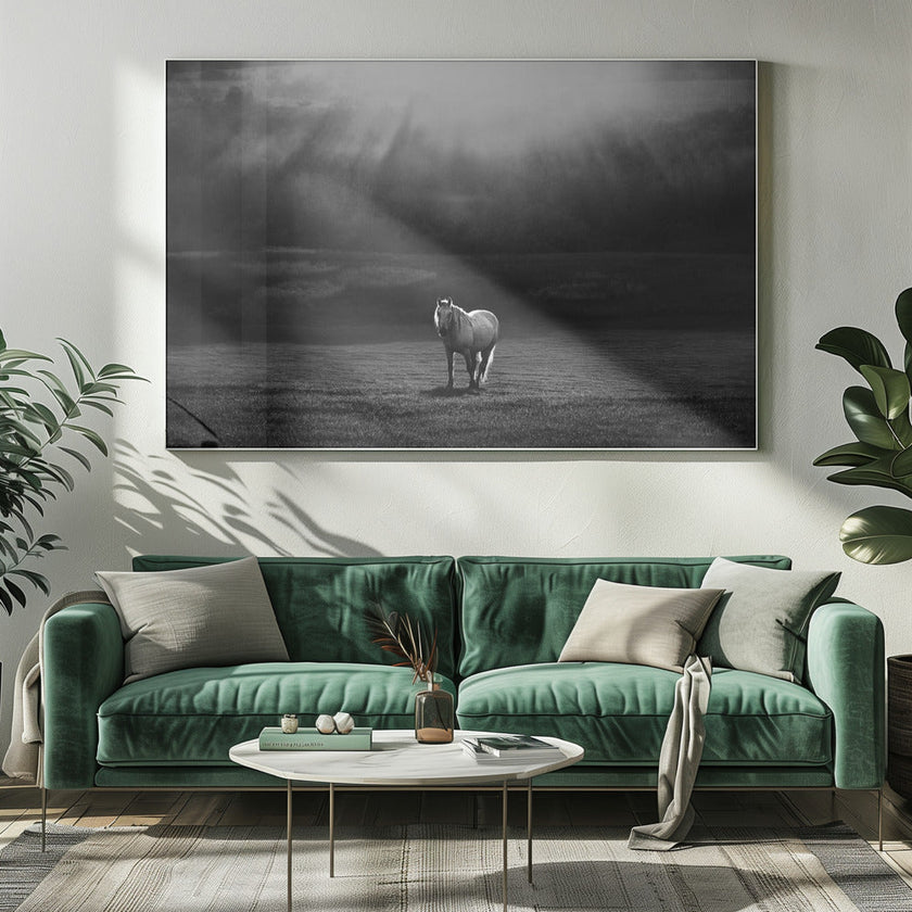 Wall art morning appearance. Hourses