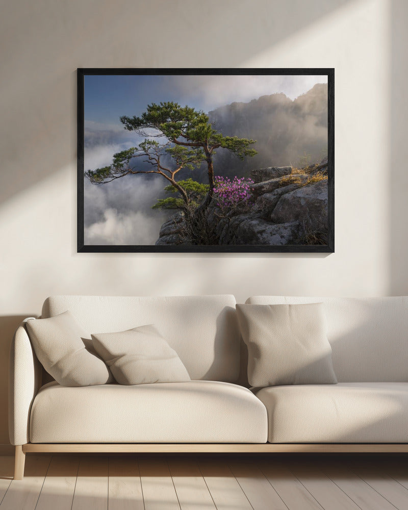 Impression sur toile 