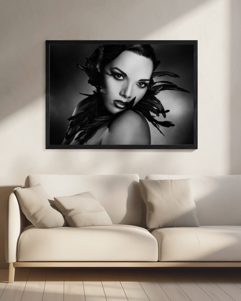 Wall art The black feathers