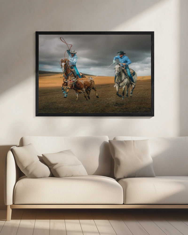 Team Roping (ou lasso de groupe)