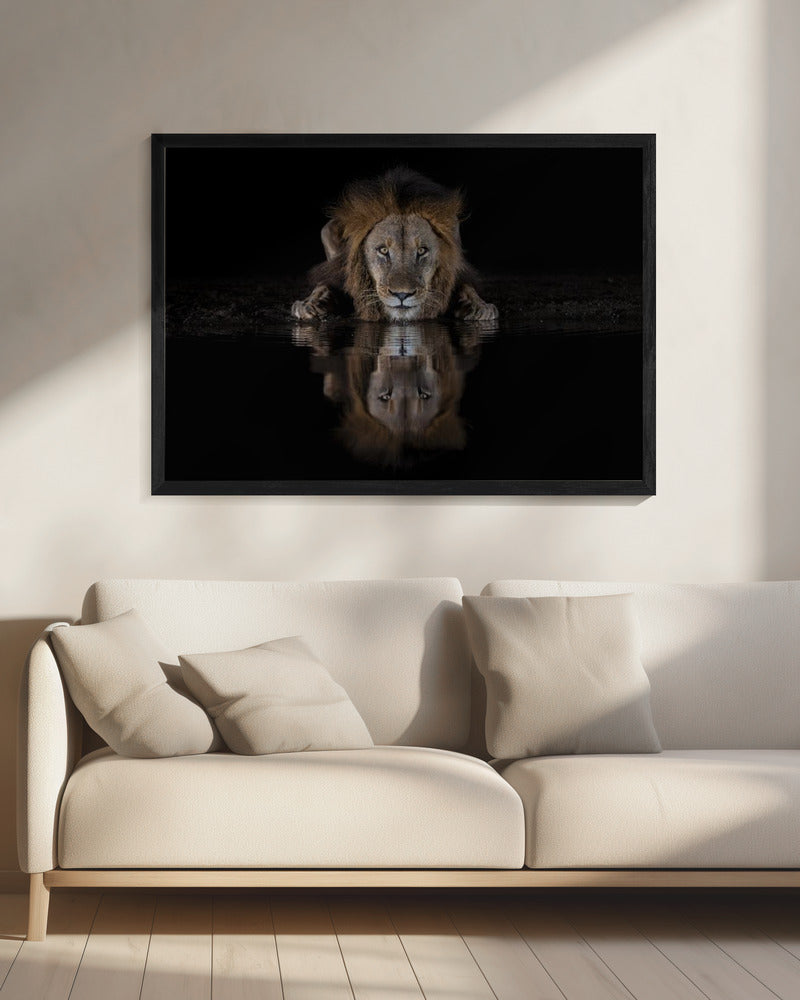 Art mural : Un lion dans la nuit