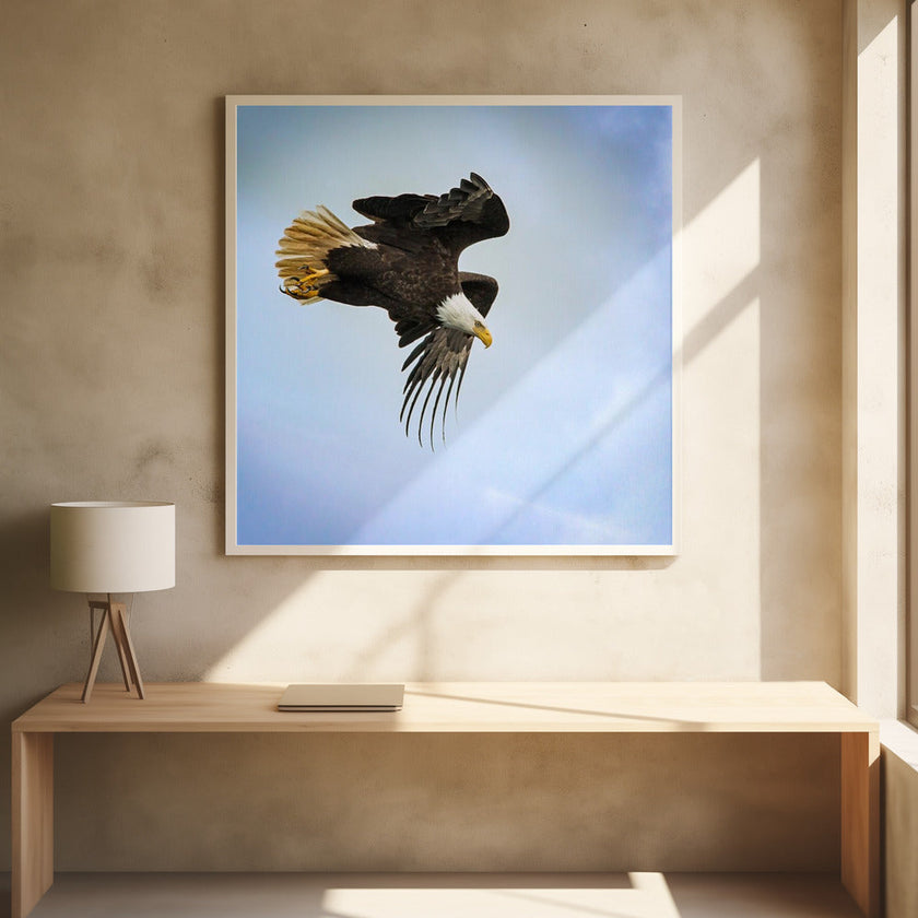 Wall art Taking Flight (Wall art Taking Flight en français)