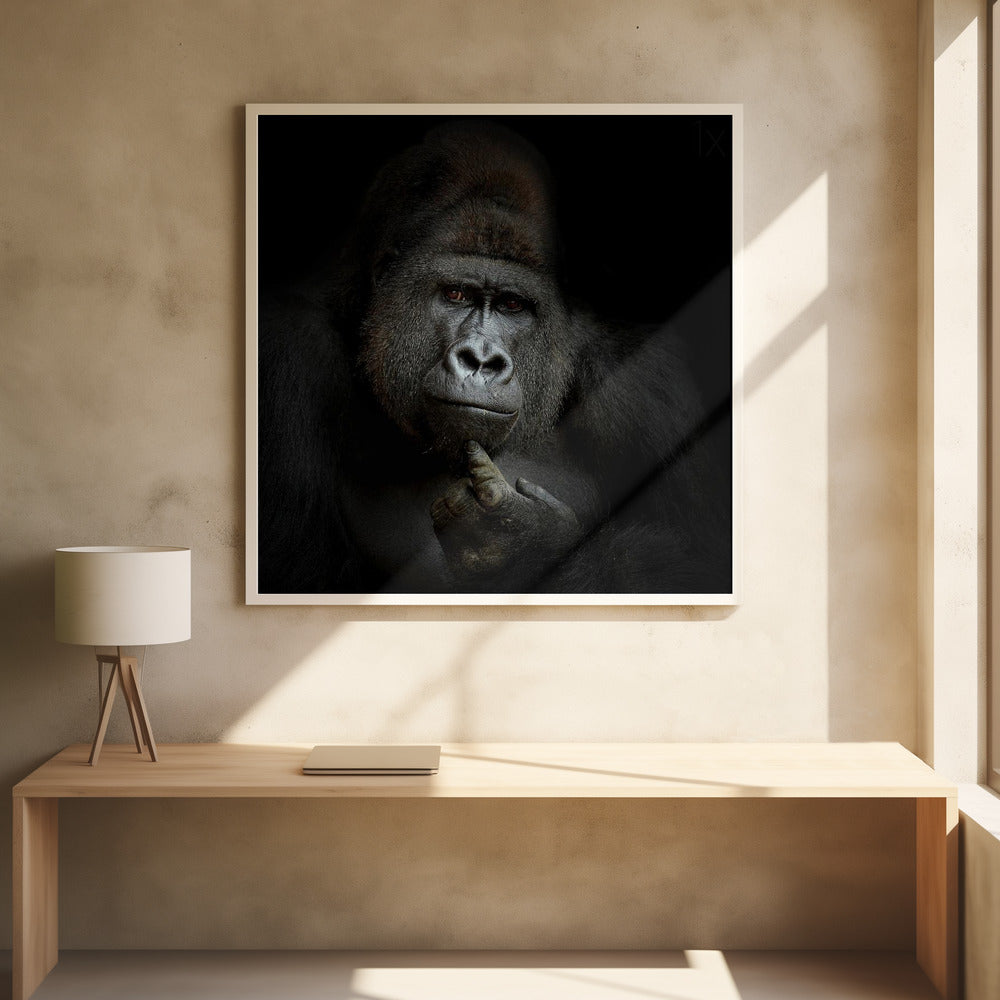 Wall Art ego cogito, ergo sum