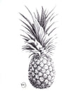 Pineapple Greeting Card