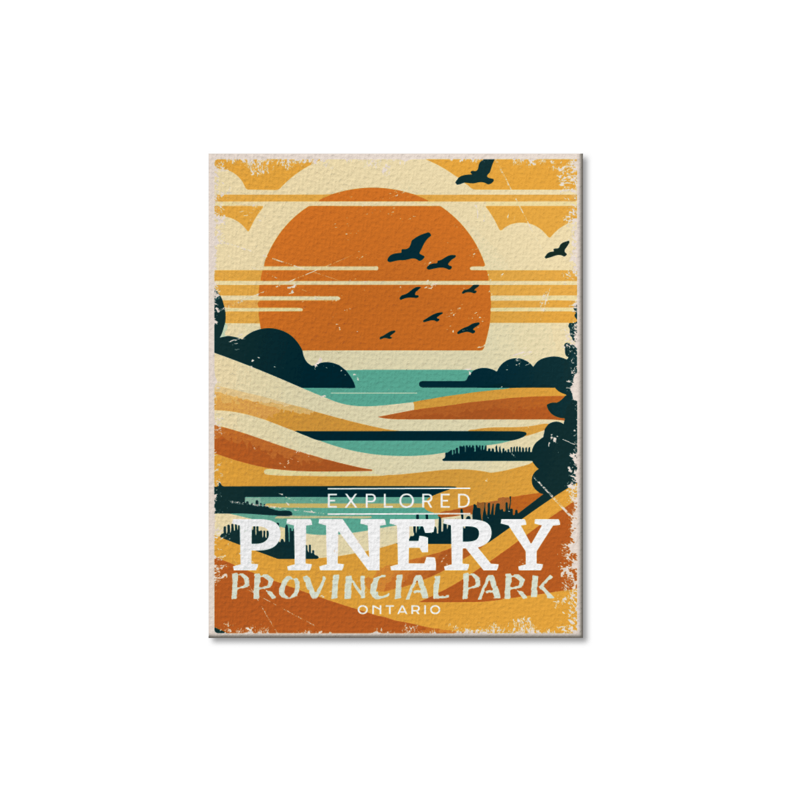 Pinery Ontario Provincial Park Postcard, Canada Parks