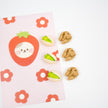 Pistachio and Walnut Magnet Set