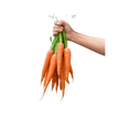 Red Carrots 1Lb