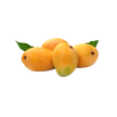 Fresh Alphonso Mango (Approx 12 Pcs)