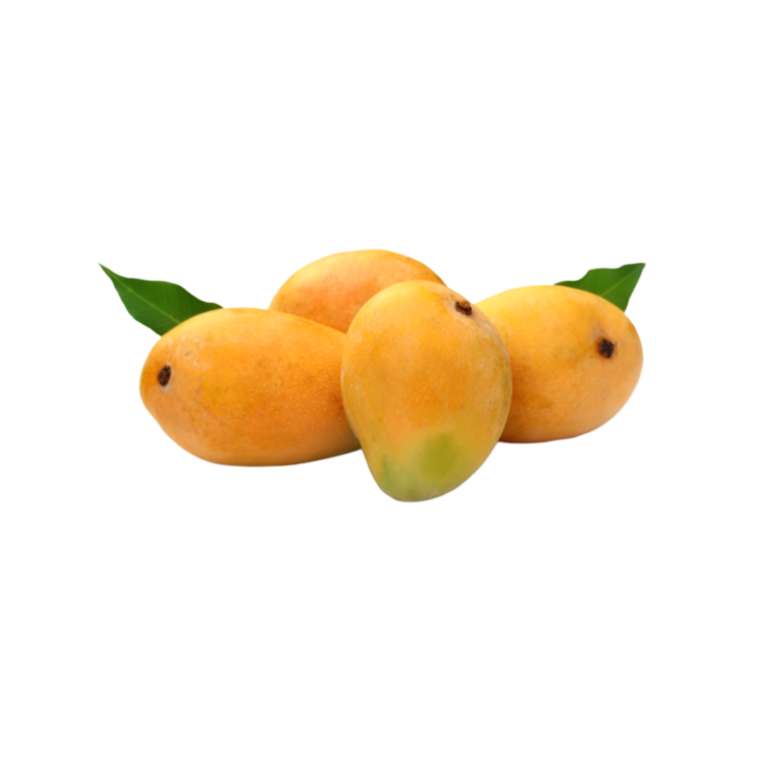 Fresh Alphonso Mango (Approx 12 Pcs)