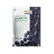 Ashoka Frozen Jamun 310g