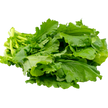 Rapini Leaves (Bunch)