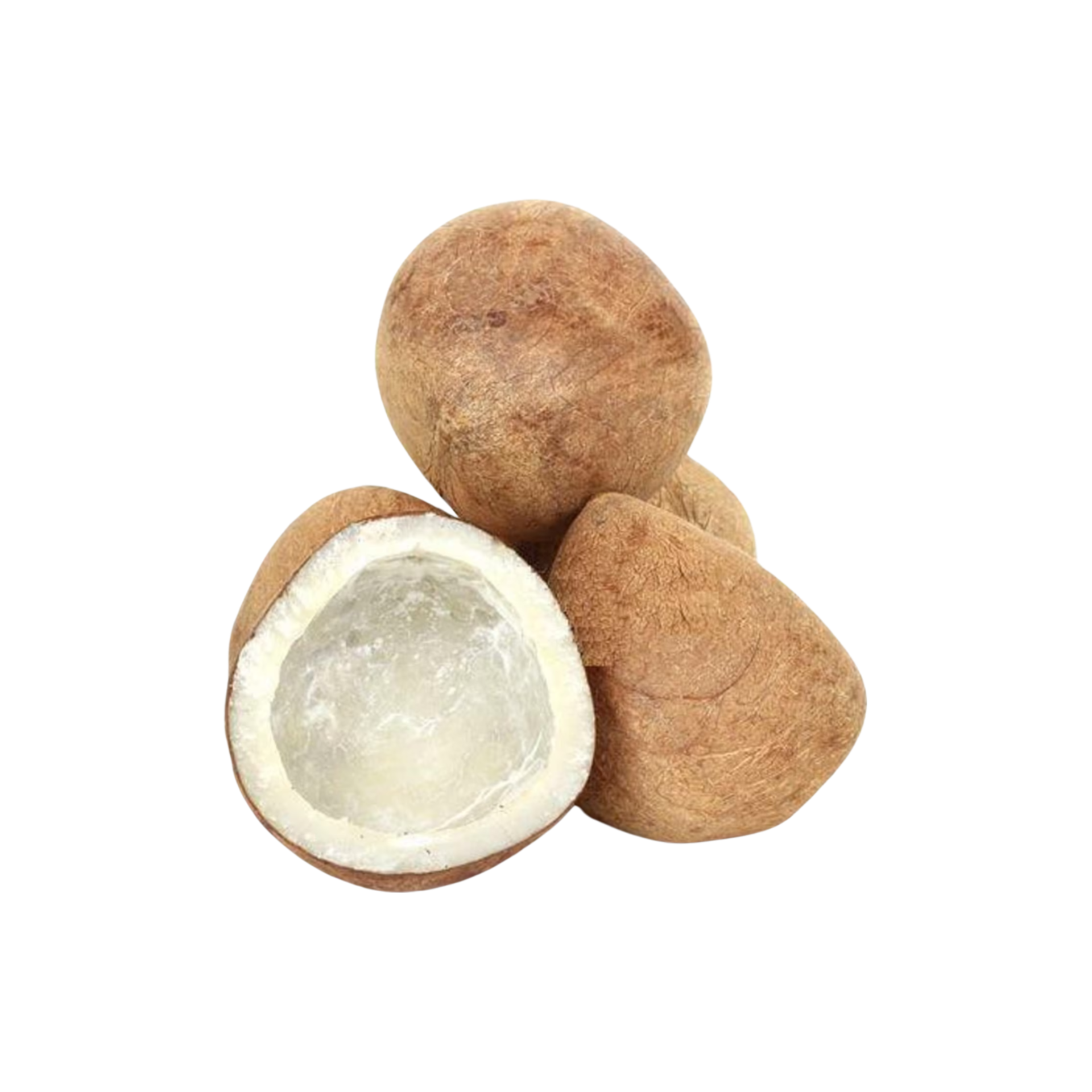 Dry Coconut