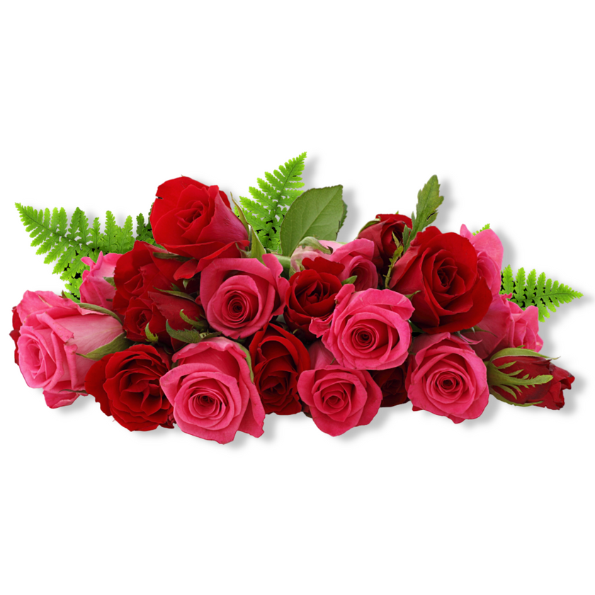 Fragrance Oil - Rose