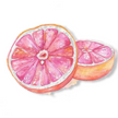 Fragrance Oil - Pink Grapefruit