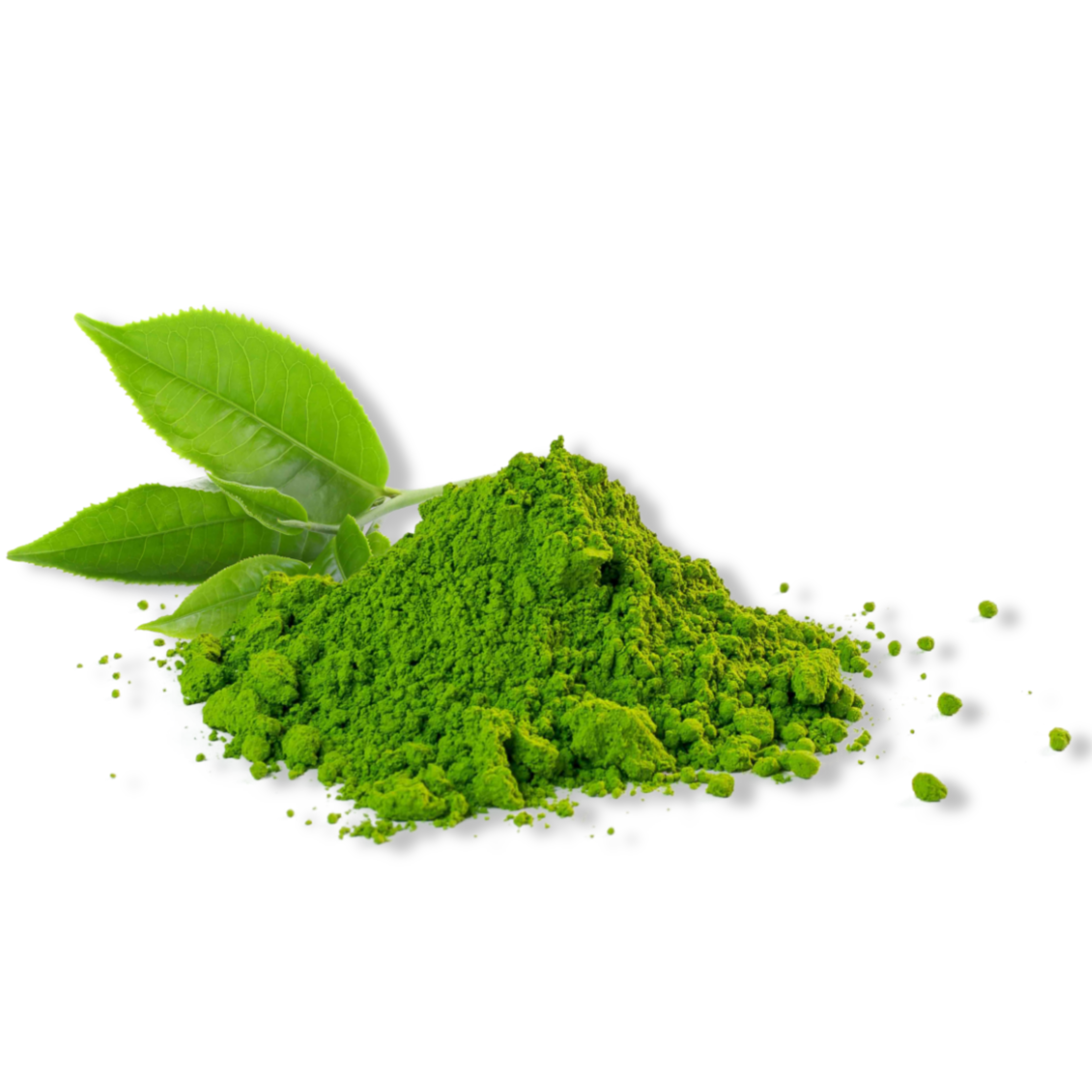 Fragrance Oil - Matcha Tea