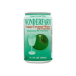 Tit-Bit Isabgol (Psyllium Husk) Whole 100gm