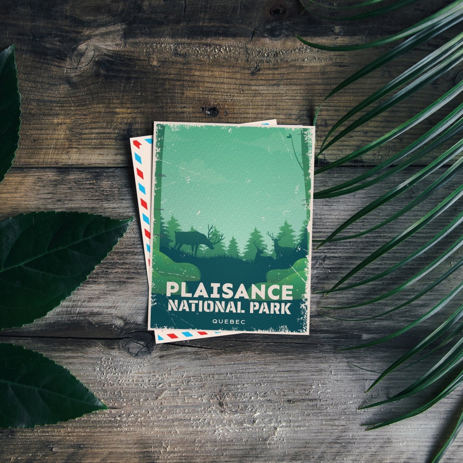 Plaisance Quebec National Park Postcard, Canada Parks