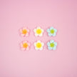Plumeria Flower Magnet Set