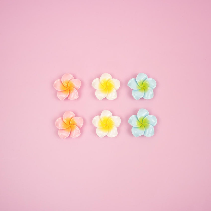 Plumeria Flower Magnet Set