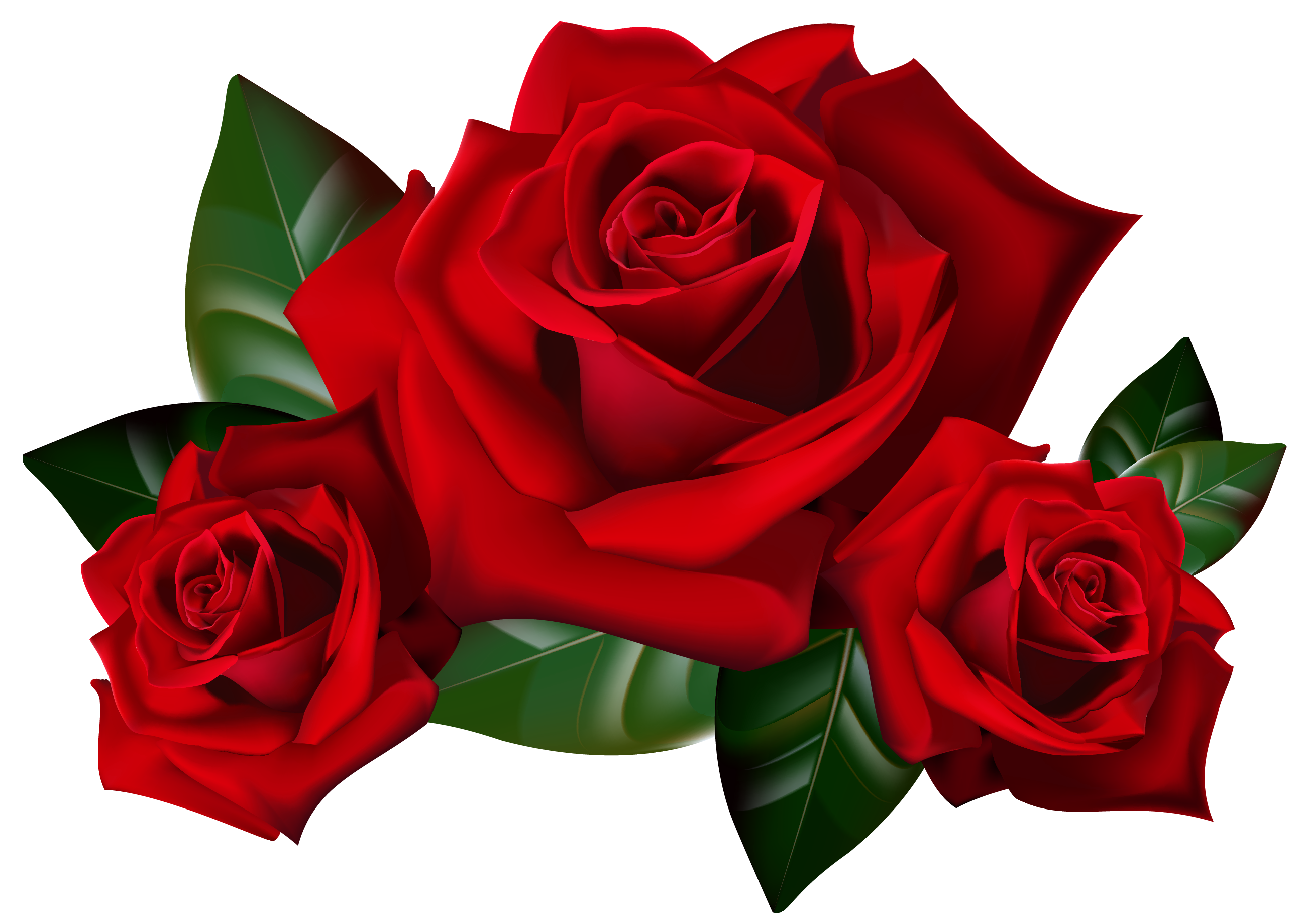 Incense - Backflow Cones - Roses - 8 Cones