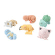 (Complete Set) Wakakusa Main Island Blind Box (Pokémon Sleep)