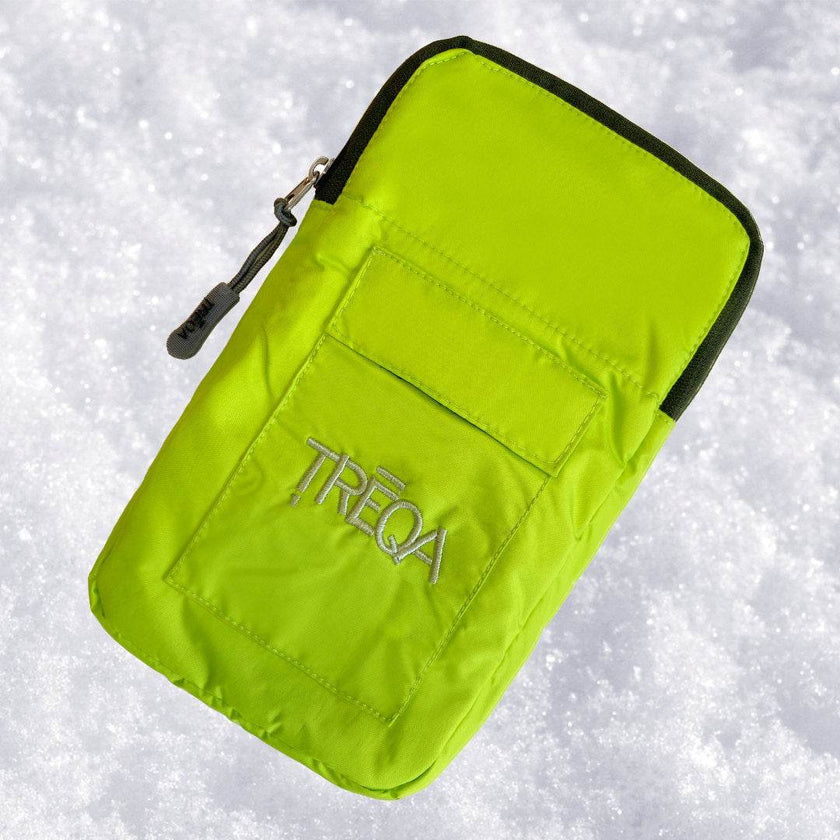 Polar Phone Case