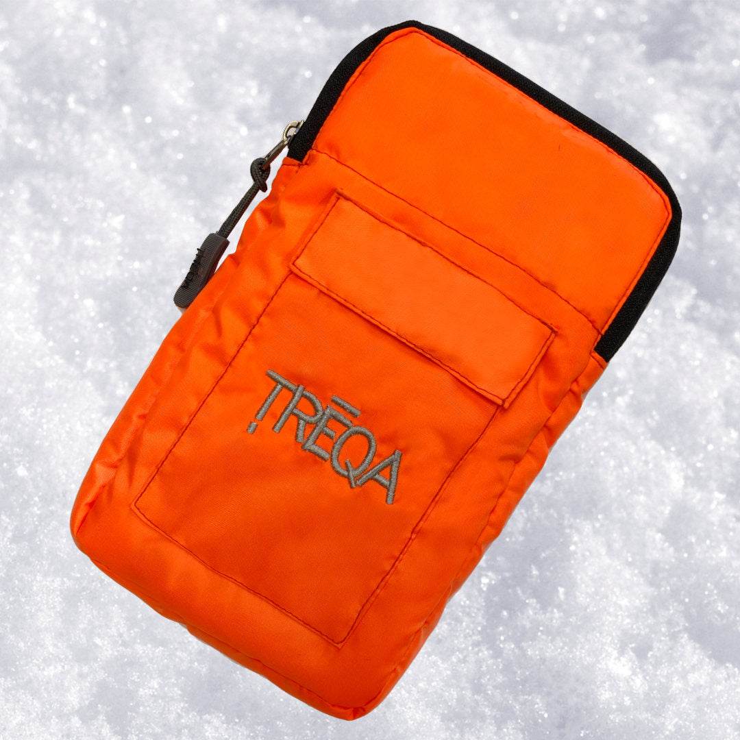 Polar Phone Case