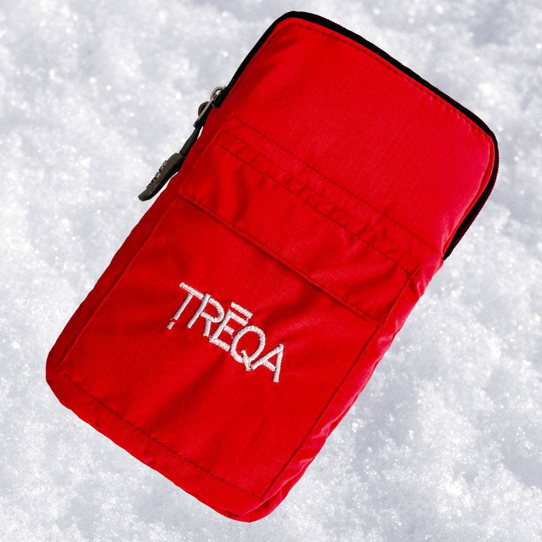 Polar Phone Case