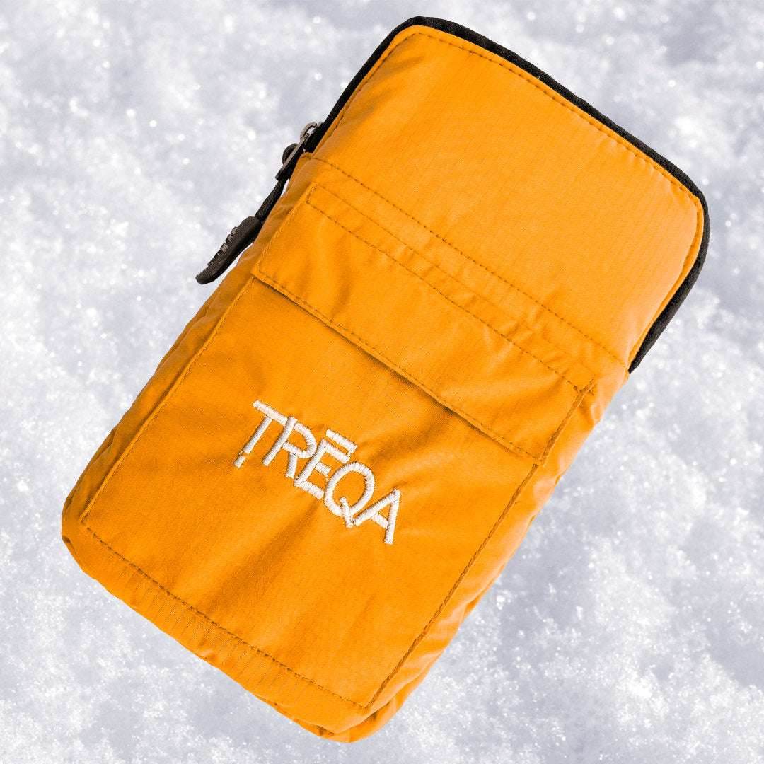 Polar Phone Case
