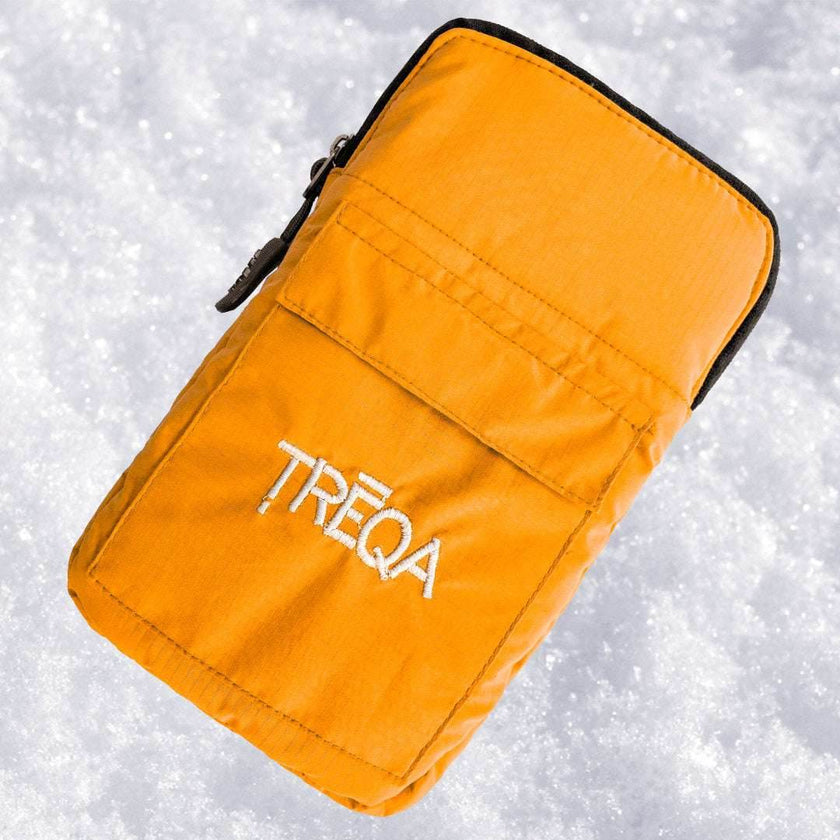 Polar Phone Case