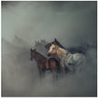 Wall art The lost horses