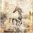 Horse Vintage Art Illustration 16