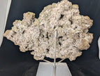 Premium Collectible: Rainbow Iridescent Pyrite Cluster from Daye, China
