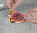 Sticker | 3 x 3 | Flower Power