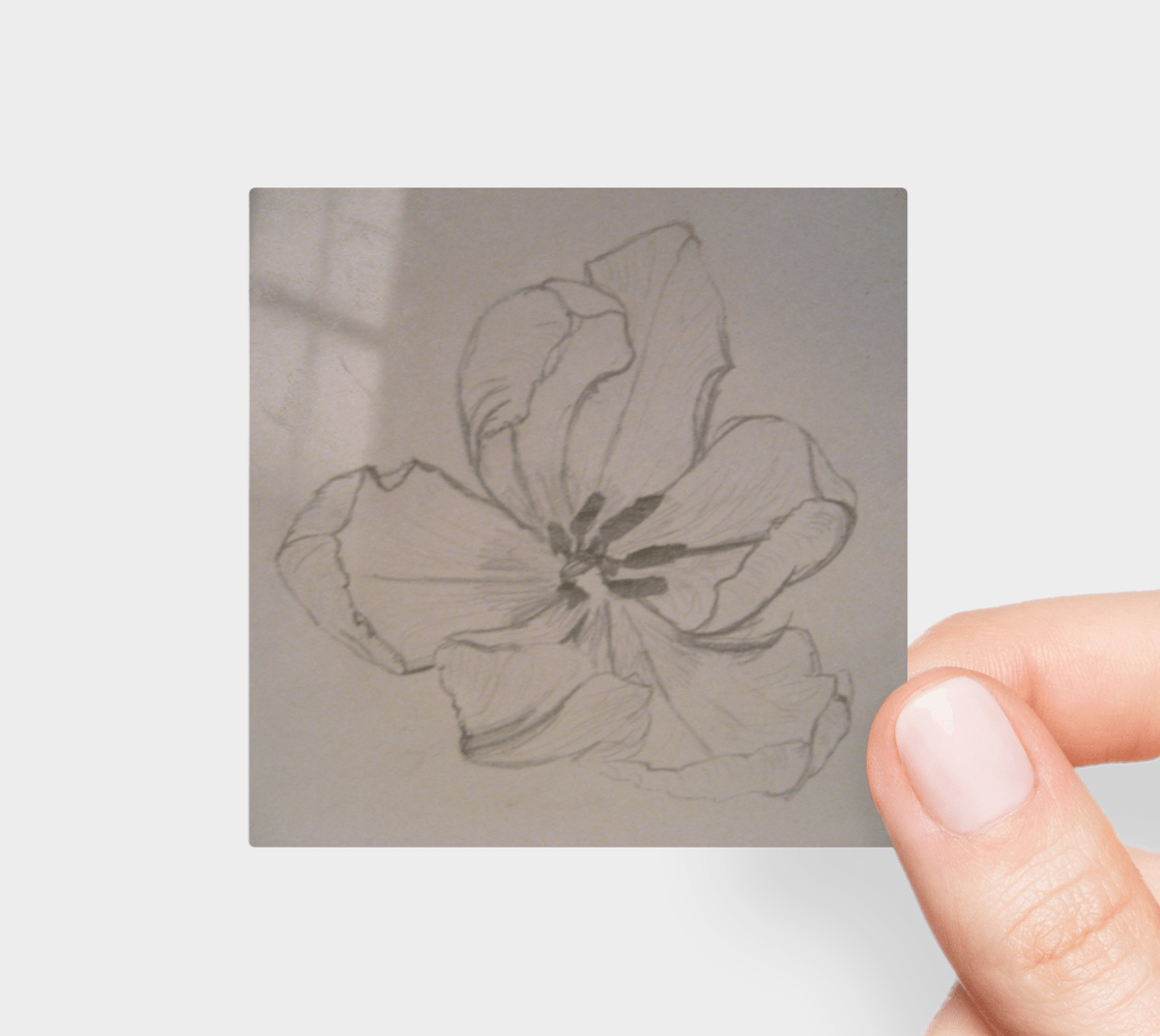Sticker | 3 x 3 | Tulip Pencil Sketch