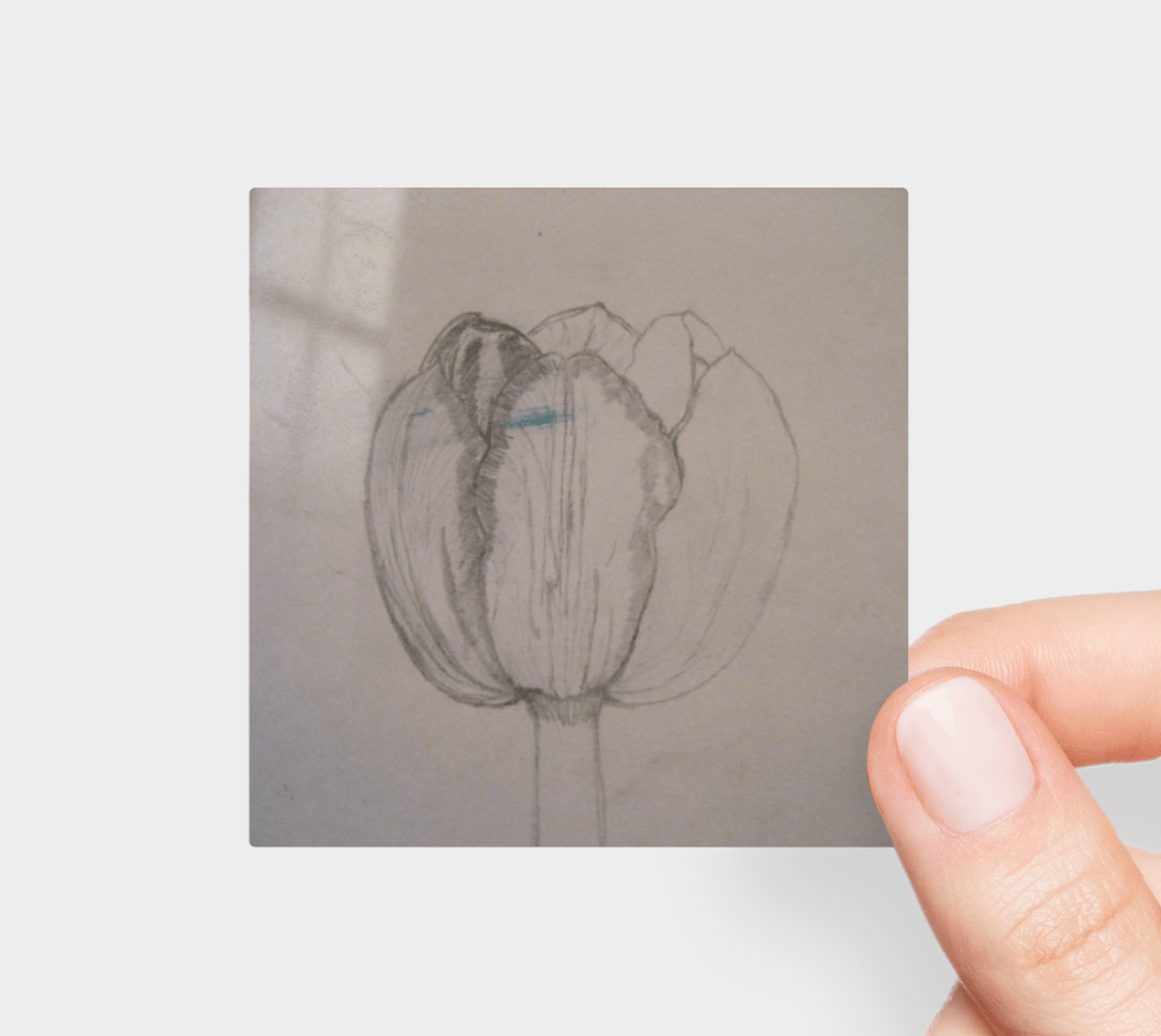 Sticker | 3 x 3 | Tulip Petal Pencil Sketch