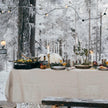 Primus Alika Stove