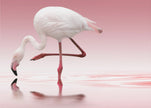 Wall art Flamingo