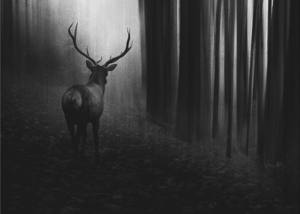 Art mural. Cerf.
