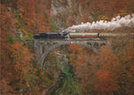 Musée de l'art mural du train