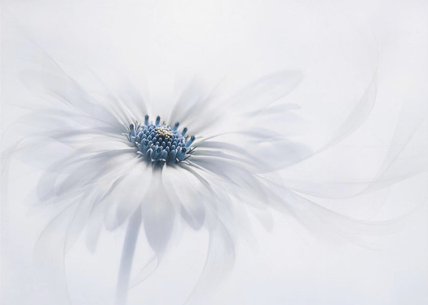 Wall art Serenity. Floral
