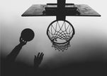Wall art n/t Basketball